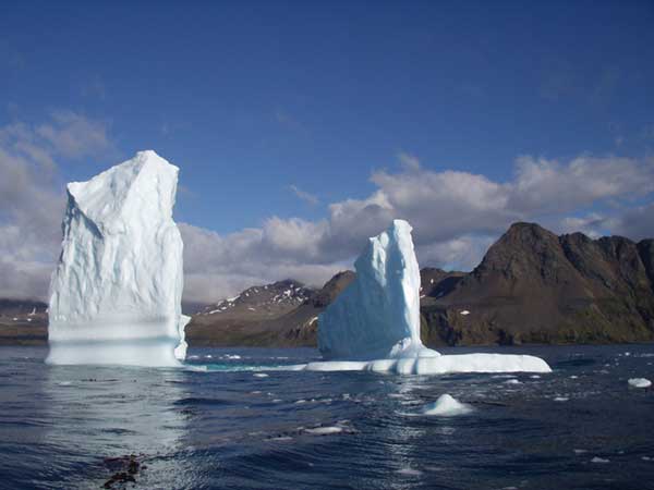 Hound Iceberg