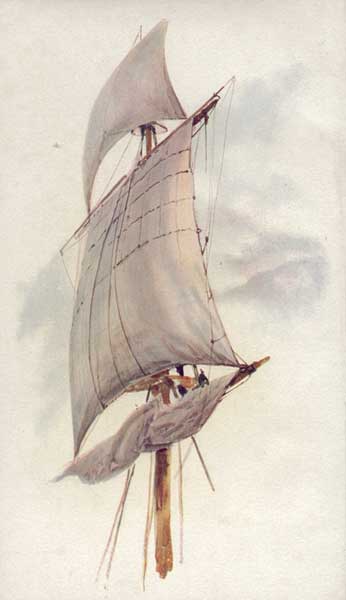 A Main Top Sail